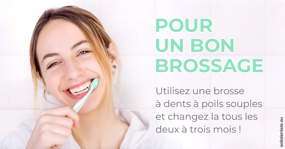 https://dr-philippe-borel.chirurgiens-dentistes.fr/Pour un bon brossage 2