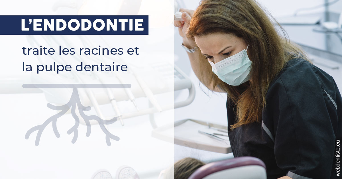 https://dr-philippe-borel.chirurgiens-dentistes.fr/L'endodontie 1