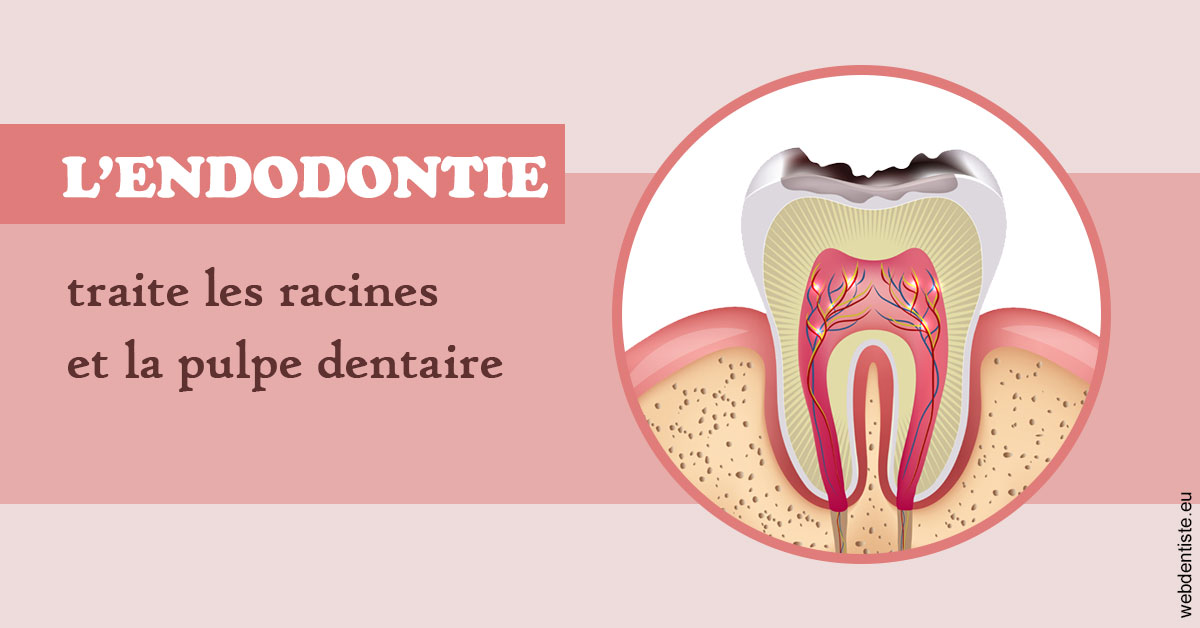 https://dr-philippe-borel.chirurgiens-dentistes.fr/L'endodontie 2