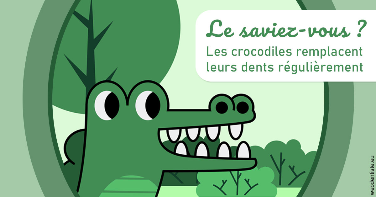 https://dr-philippe-borel.chirurgiens-dentistes.fr/Crocodiles 2