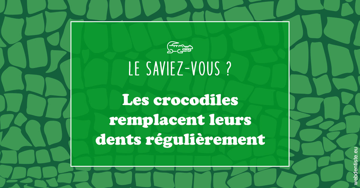 https://dr-philippe-borel.chirurgiens-dentistes.fr/Crocodiles 1
